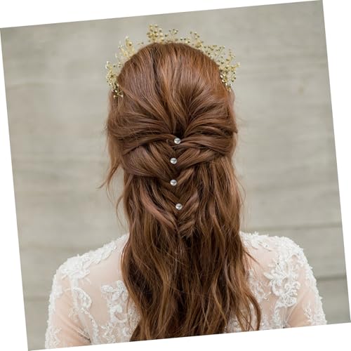 LOORGVEL 24 Stück Teiliges Braut Haarschmuck Spiral Haarnadeln mit Funkelnden Strasssteinen Eleganter Silberner Haarschmuck für Hochzeit Party und Festliche Anlässe Einfach zu Befestigen von LOORGVEL