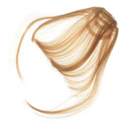 LOORGVEL 2Stücke Haarknall Clip Extensions Künstlicher Haarteil für Hochwertige Hautfreundliche Fransen Perücke für Damen Einfache Anwendung und Vielseitig von LOORGVEL
