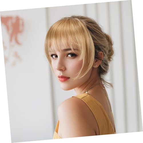 LOORGVEL Leichter Clip in Bang Haarteil aus Künstlichen Fasern Natürliche Optik Komfortabel Sicher für Alltag und Events Nahtloses Styling für Frauen von LOORGVEL