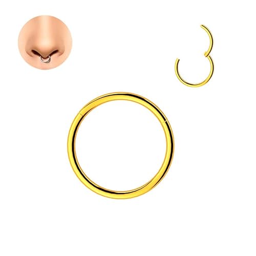 LOVANS Hypoallergenic 316L Surgical Steel Nose Rings Nose Hoops for Men and Women Body Piercing Jewelry Earrings Lip Ring 6/8/10/12/14mm (1.0 * 10mm, Gold) von LOVANS