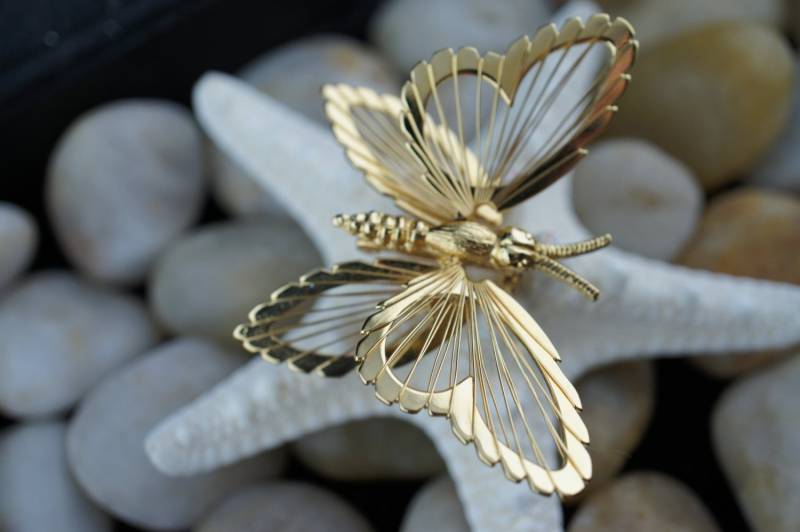 Monet Gold Ton Schmetterling Brosche Pin Art Deco Schmuck Circa Gold Fliege Insekt Libelle Filigran 3D Form U044 von LOVNTG
