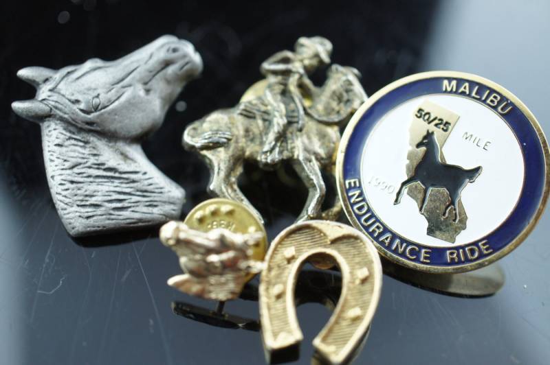 Vintage Elegante Set Pin Brosche Pferd Haustier Bauernhof Tier Circa Minimalistisch Modernist Art V034 von LOVNTG