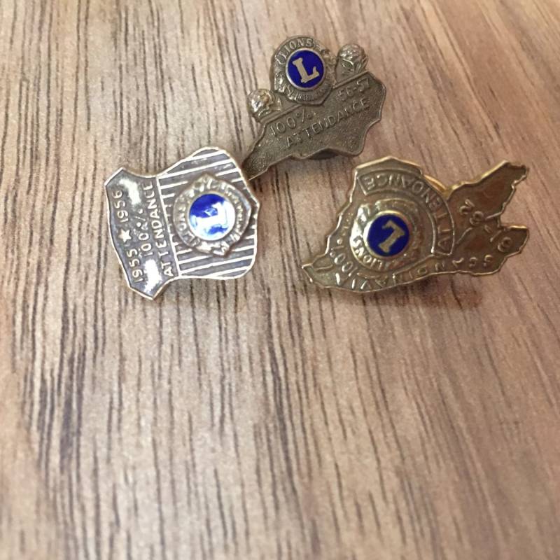 Vintage Lions Krawattennadel International Lapel Pin Gold Filled Dunkelblau Emaille Reg Us Patent Office 3Er Set Masonic M-016 von LOVNTG