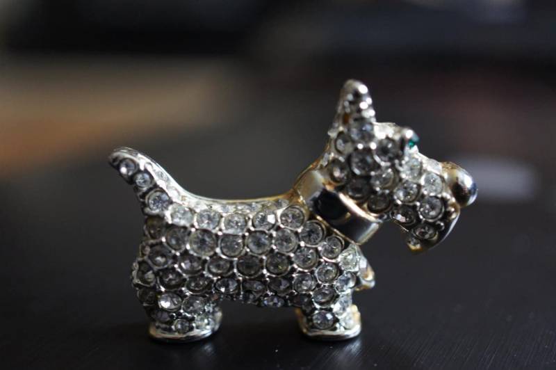 Vintage Schmuck Victorian Golden Gold Ton Mit Cz Steinen Hund Haustier Tier Grüne Augen Pin Brosche Wunderschön Detailliert M-064 von LOVNTG