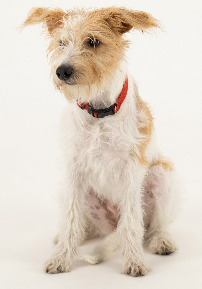 LPO Funktionshose Kosmo von LPO