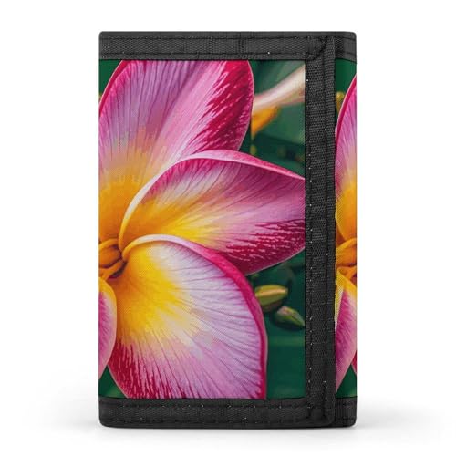 LPSADGF Geldbörse für Herren – Schlanke dreifach gefaltete Geldbörse, handgezeichnete Skizze Corgi Geldklammer, Münzbörse mit 8 Kreditkartenfächern, Hawaiianische bunte Blume, Einheitsgröße, Modern von LPSADGF