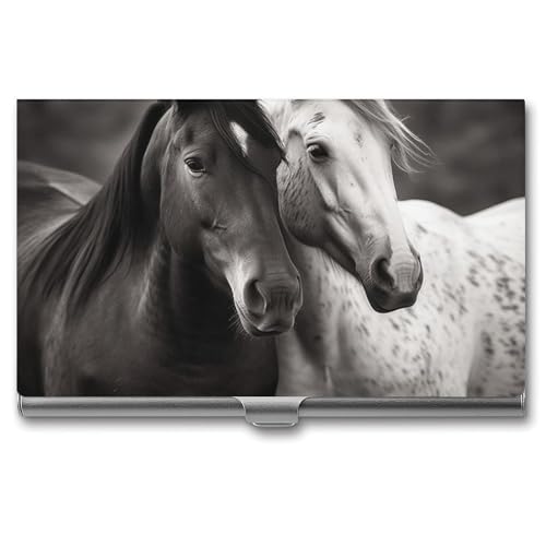 LPSADGF Jet Fighters Visitenkartenhalter, schmal, Metall-Aluminiumlegierung, Kreditkartenetui, professionelle Klappabdeckung, Visitenkarten-Organizer, Brieftasche für Damen und Herren (Schnallenstil von LPSADGF