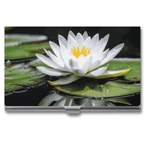 LPSADGF London Visitenkartenhalter, schmal, Metall-Aluminiumlegierung, Kreditkartenetui, professionelle Klappabdeckung, Visitenkarten-Organizer, Brieftasche für Damen und Herren (Schnallenstil), weiße von LPSADGF