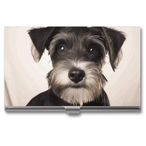 LPSADGF Visitenkartenetui mit Aufschrift "Do Not Forget Me", schlankes Design, Metall-Legierung, Kreditkartenetui, professionelle Klappabdeckung, Visitenkarten-Organizer, Brieftasche für Damen und LPSADGF Visitenkartenetui mit Aufschrift "Do Not Forget Me", schlankes Design, Metall-Legierung, Kreditkartenetui, professionelle Klappabdeckung, Visitenkarten-Organizer, Brieftasche für Damen und von LPSADGF