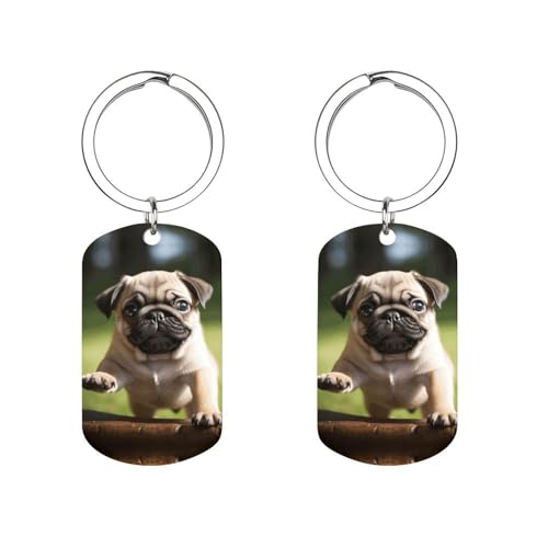 LPSBVNM Doppelseitiger Edelstahl-Schlüsselanhänger, Mops-Welpen, bedruckter Metall-Schlüsselanhänger, Zubehör, Unisex-Schlüsselanhänger für Zuhause, Autoschlüssel, Büro, Rucksack, Geldbörse, Charm, LPSBVNM Doppelseitiger Edelstahl-Schlüsselanhänger, Mops-Welpen, bedruckter Metall-Schlüsselanhänger, Zubehör, Unisex-Schlüsselanhänger für Zuhause, Autoschlüssel, Büro, Rucksack, Geldbörse, Charm, von LPSBVNM