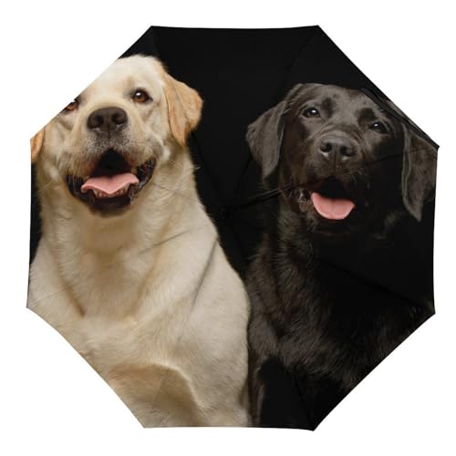 LQIOFHN Automatisch Faltbarer Regenschirm Labrador-Hund Tragbare Regenschirme Uv-Sonnenschutz-Regenschirm Winddichter Reiseschirm von LQIOFHN