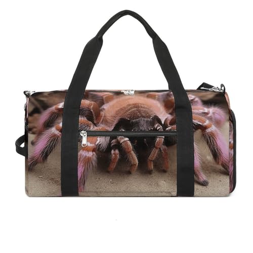 Fitness Tasche, Große Mexikanische Tarantel Print Wiederverwendbare Turnbeutel Sport Reise Fitness Tasche Essentials Gym Bag mit Schuhfach, Stil, Einheitsgröße, Stil:, Einheitsgröße Fitness Tasche, Große Mexikanische Tarantel Print Wiederverwendbare Turnbeutel Sport Reise Fitness Tasche Essentials Gym Bag mit Schuhfach, Stil, Einheitsgröße, Stil:, Einheitsgröße von LQPMNK