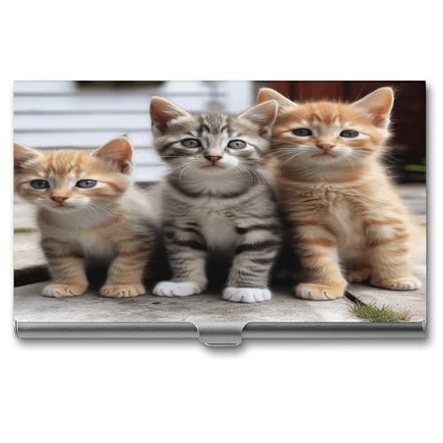 LQPMNK Kartenetui aus Metall, Kätzchen Familie Katzen Druck Professionelle Kartenhülle Premium Kartenetui Leicht Kartenhalter Pocket Kartenetui, Stil: von LQPMNK