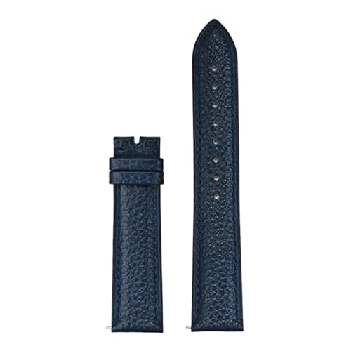 LQXHZ Echtes Lederarmband 12 13 14 15 16 17 18 19 20 21 22 23 24 Mm Universal-Schnellverschluss Damen Herren Business-Uhrenarmband(Blue no buckle,19mm) von LQXHZ