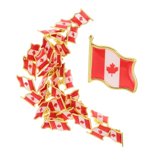 LRXIYODE 1 Satz Flaggen Broschen Metall Anstecker Für Kleidung Einzigartige Pins Für Feiern Partys Und Für Stilvolle Und Tägliche Nutzung 25 Stück von LRXIYODE