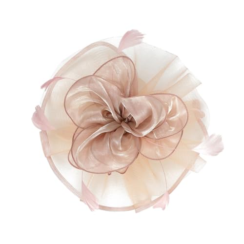 LRXIYODE 1 Stück Hut aus Federnetz Glockenhüte für Damen Brauthut Kirche Hüte Mode elektrisch Vintage Baskenmütze Damen Party Haarclip Haarnadelnetz Frau Kopfbedeckung Gittergewebe Rosa von LRXIYODE