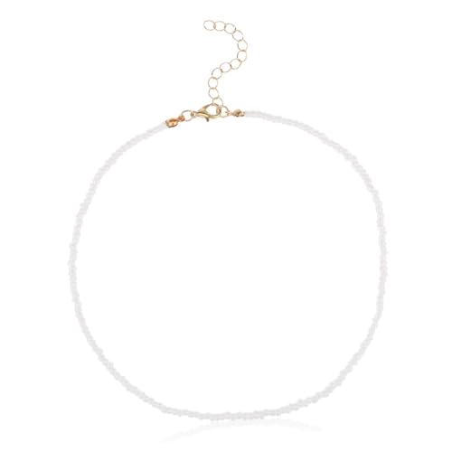 LRXIYODE Damen Halskette mit Bunten Perlen Einfache Reisperlen Choker Modischer Schmuck für Strandpartys Abschlussbälle und Junggesellinnenabschiede von LRXIYODE