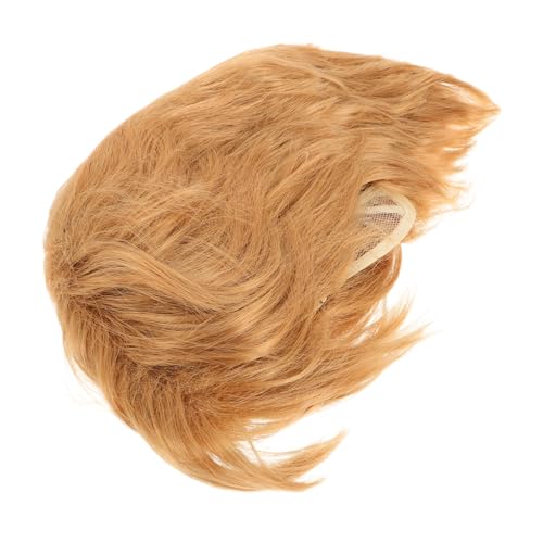 LRXIYODE Perücke Für Herren Goldene Haarperücke Kurze Perücke Für Cosplay Lustige Perücken Für Halloween-partys Und Events Kostümzubehör Aus Kunsthaar von LRXIYODE