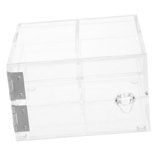 LRXIYODE Transparente Acryl Wimpernbox Leere Aufbewahrungsbox für Falsche Wimpern Tragbarer Lash Organizer für Reisen Robust und Schützend Praktisches Kosmetik Zubehör von LRXIYODE