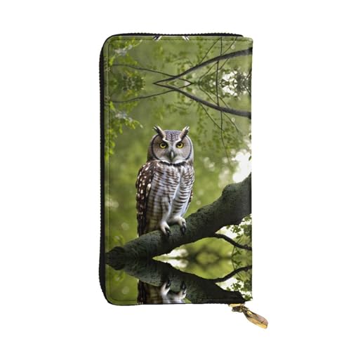 Rainbow Stars Ledergeldbörse für Damen und Herren, große Geldscheine mit 12 Kartenfächern, Brieftasche, Reisepasshülle, Zweige mit Eulenmotiv, Einheitsgröße von LXqlSS