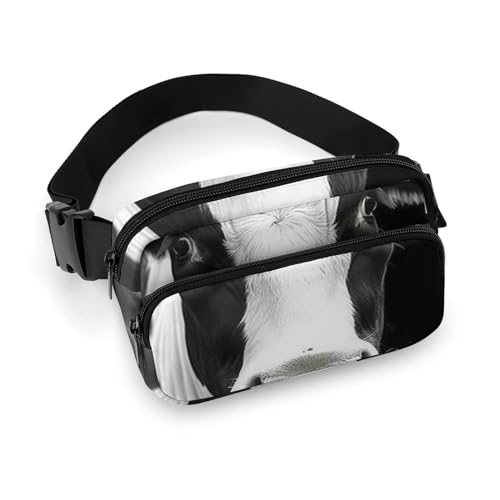 Bauchtaschen mit lustigem Kuhkopf-Druck, für Damen, Crossbody-Tasche für Reisen und Sport, Stil, 20 x 13 cm, Bauchtaschen, Stil:, 20x13cm, Bauchtaschen von LYHVSFZQ