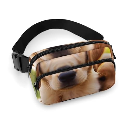 Fanny Packs Cute Golden Retriever Puppy Gedruckt Umhängetaschen für Frauen Crossbody for Travel And Sport, Style, 20 * 13cm, Fanny Packs, Style, 20x13cm, Hüfttaschen, Stil, 20x13cm, Hüfttaschen Fanny Packs Cute Golden Retriever Puppy Gedruckt Umhängetaschen für Frauen Crossbody for Travel And Sport, Style, 20 * 13cm, Fanny Packs, Style, 20x13cm, Hüfttaschen, Stil, 20x13cm, Hüfttaschen von LYHVSFZQ