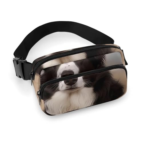 Gürteltaschen Border Collie bedruckte Umhängetasche für Damen, Crossbody für Reisen und Sport, Stil, 20 x 13 cm, Bauchtaschen, Stil:, 20x13cm, Bauchtaschen von LYHVSFZQ