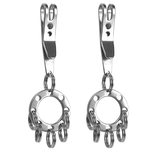 2 Stück Silber Schlüsselanhänger Schlüsselclip Karabiner mit Schlüsselring Keyring Edelstahl Schlüsselhalter Multiclip Mehrzwecker Taktische Clip von LYITZW