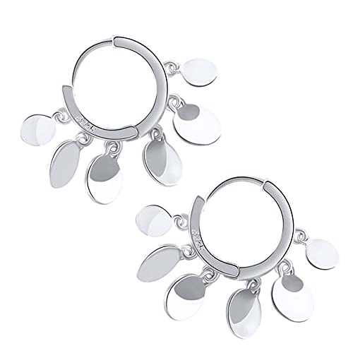 Echte Hoop Ohrringe für Frauen Zirkon Kreis Runde Ohrringe Schmuck, LYLSSSDH, Form 1 Silber von LYLSSSDH