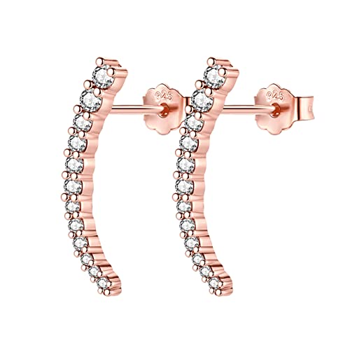 Damen Ohrstecker Silber 925-1 Paar Klein Erbse Ohrstecker Rosegold Ohrringe Set Funkelnde Ohrstecker Piercing Ohr Tragus Lippen Schmuck Damen Mädchen Geschenke von LYTOPTOP