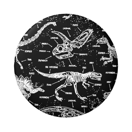 Leichte runde Abzeichen, komplexe Cartoon-Dinosaurier-Anstecknadeln, 6 cm (Diameter) von LZNJZ