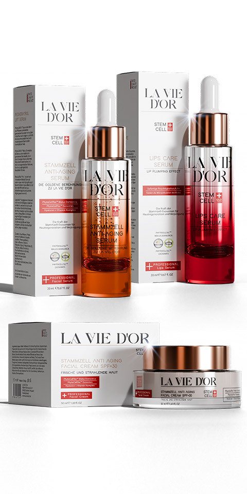 La Vie D'Or Gesichtspflege-Set LaVieDor Komplettset – Anti-Aging Stammzell, mit LSF 30, Lippenpflege, 1-tlg. La Vie D'Or Gesichtspflege-Set LaVieDor Komplettset – Anti-Aging Stammzell, mit LSF 30, Lippenpflege, 1-tlg. von La Vie D'Or