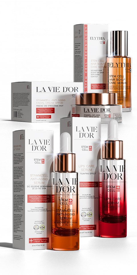 La Vie D'Or Gesichtspflege-Set LaVieDor & Elythia Komplettpflege-Set – Gesicht, Lippen & Haare, 4-tlg. La Vie D'Or Gesichtspflege-Set LaVieDor & Elythia Komplettpflege-Set – Gesicht, Lippen & Haare, 4-tlg. von La Vie D'Or