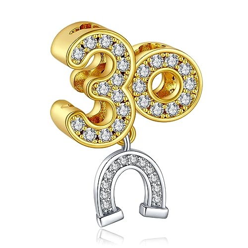 LaMenars 30 & Horseshoe Charms für 925 Sterling Silber für Frauen Armbänder & Halsketten Dangle Anhänger für Weihnachten Muttertag Valentinstag Geschenke für Mädchen von LaMenars