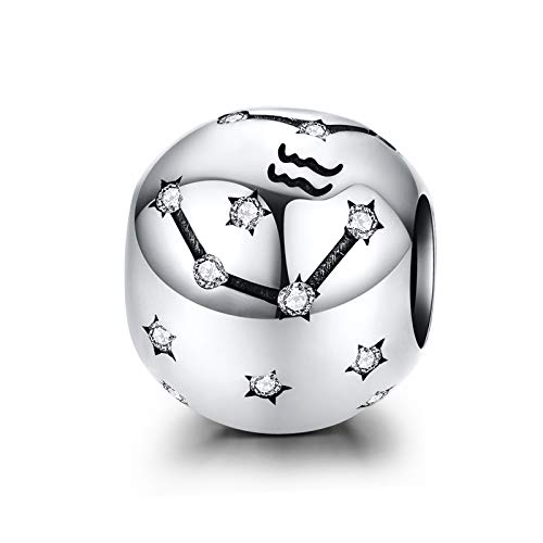 LaMenars Damen 12 Konstellationen Sternzeichen Stern Bead Charms 925 Sterling Silber Anhänger für Pandora, Chamilia & European Charm Armbänder & Halsketten (der Wassermann: 1.20-2.18) von La Menars