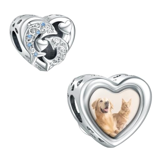 LaMenars Dolphin Charm personalisierte Herz Bild Charms 925 Sterling Silber Fit Damen Armband Halskette DIY Geschenk für Frauen von LaMenars