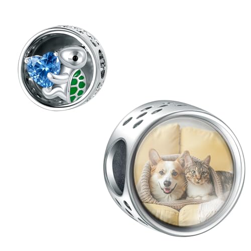 LaMenars Schildkröte 5A Zirkon Runde Charme personalisierte Bild Charmes 925 Sterling Silber Fit Frauen Armband Halskette DIY Geschenk für Familienfreund von LaMenars