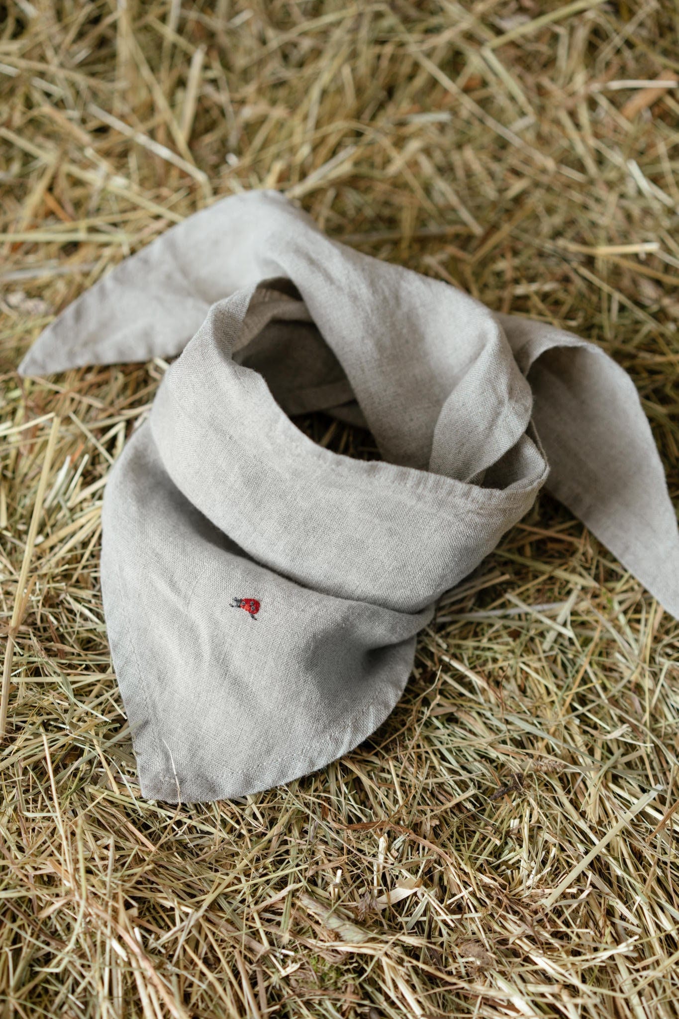 Einfarbiges Halstuch Für Kinder | Optional Stickerei von LaPetiteAlice