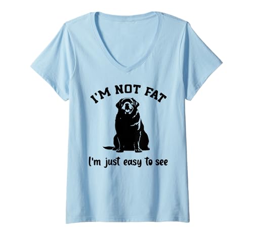 Damen Ich Bin Nicht fett. Ich Bin einfach leicht, lustiges T-Shirt mit V-Ausschnitt Damen Ich Bin Nicht fett. Ich Bin einfach leicht, lustiges T-Shirt mit V-Ausschnitt von Labor Mama Chaosy Bun Life Hair Brille