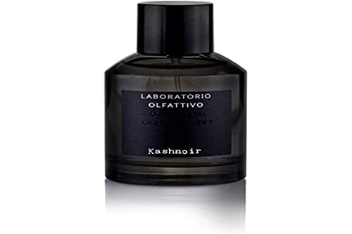 LABORATORIO OLFATTIVO Lab Olfatt Kashnoir EDP Vapo100 ml, 1er Pack (1 x 100 ml) von Laboratorio Olfattivo