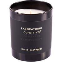 Laboratorio Olfattivo Cuoio Sel Selvaggio Kerze von Laboratorio Olfattivo