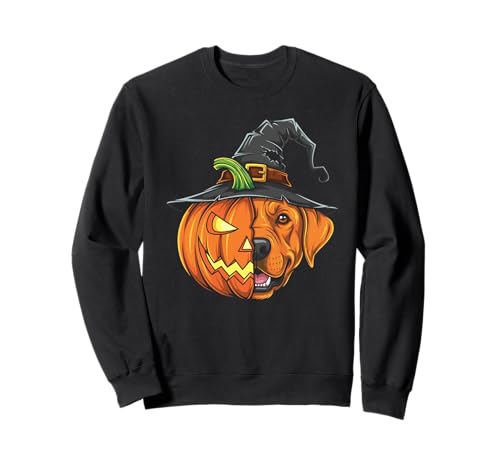 Labrador Retriever Hund Kürbis Halloween Kinder Herren Damen Sweatshirt von Labrador Retriever Lover Halloween Pumpkin Outfits