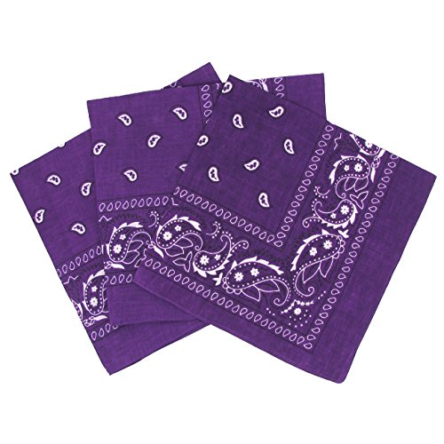 Set 3 bandanas paisley damen und herren dunkelviolett von Laciteinterdite