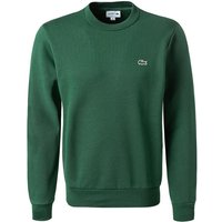 LACOSTE Herren Sweatshirt grün Baumwolle unifarben von Lacoste