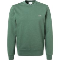 LACOSTE Herren Sweatshirt grün Baumwolle unifarben Classic Fit von Lacoste