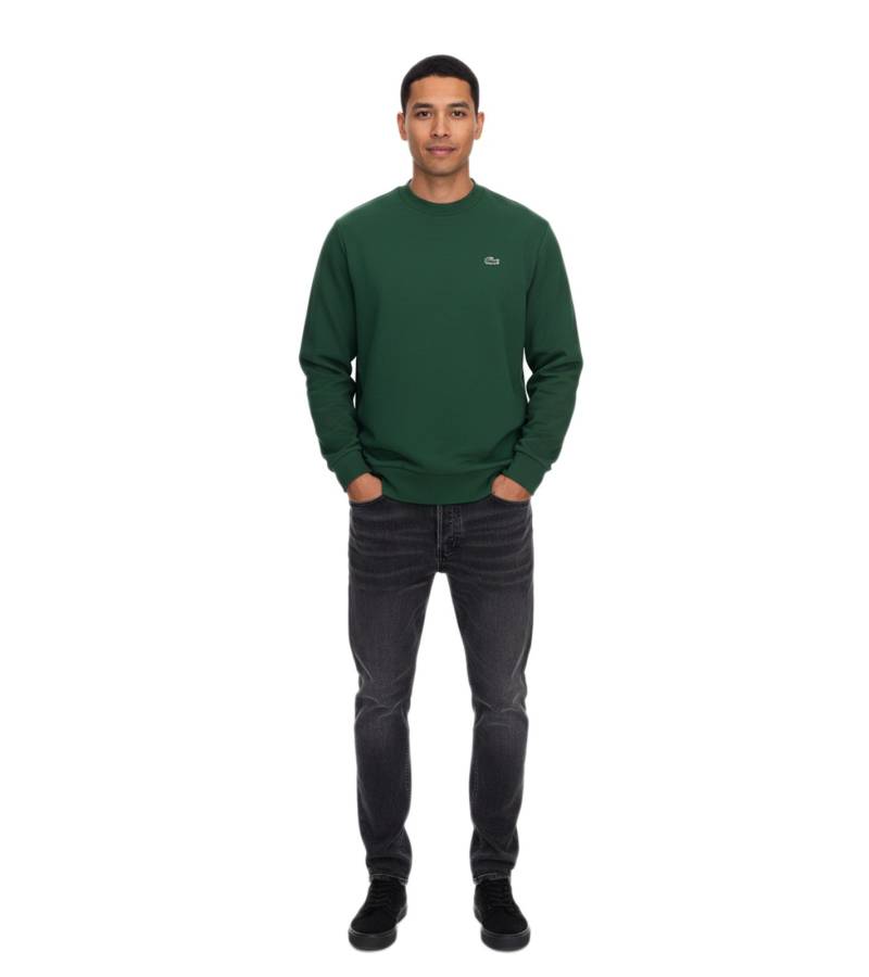 Lacoste Herren Sweatshirt mit Logo-Stickerei Basic-Pullover moderner Baumwoll-Sweater Langarm-Shirt SH9608 00 132 Grün von Lacoste