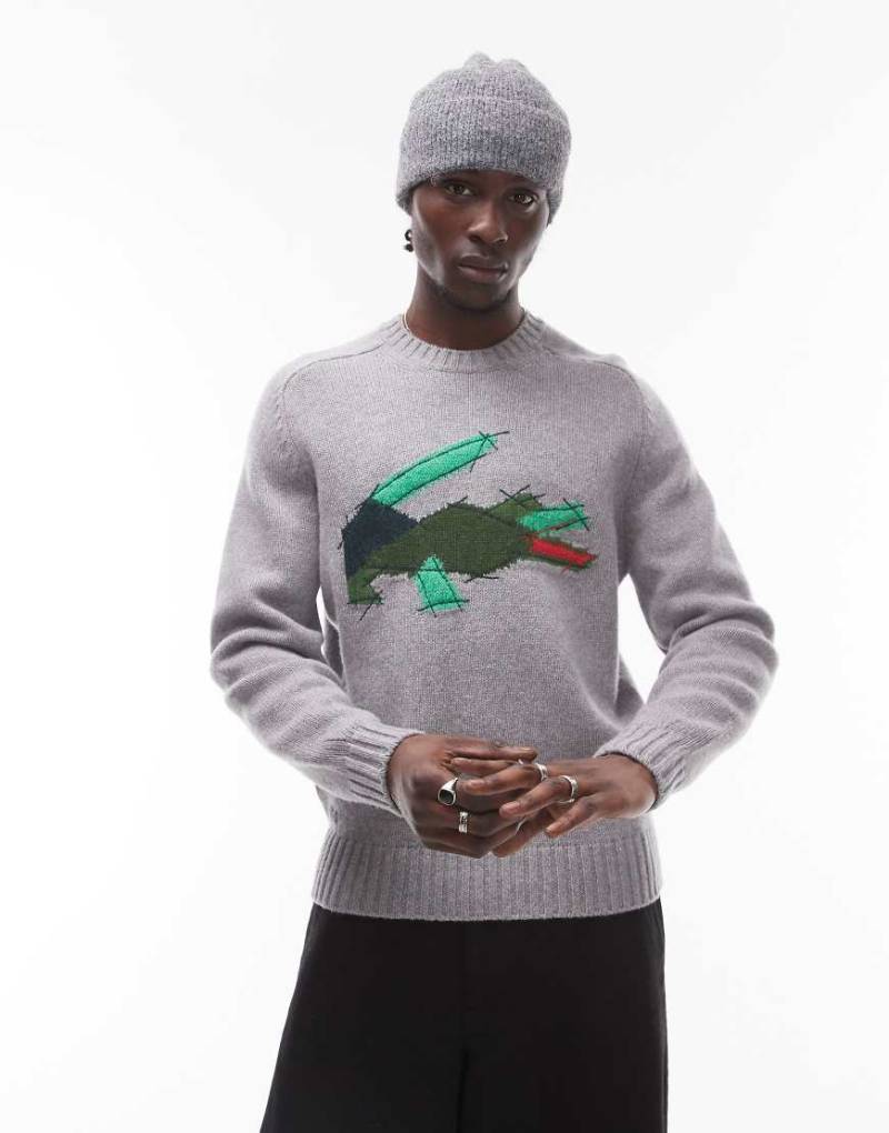 Lacoste - Pullover in Grau mit großem Logo von Lacoste