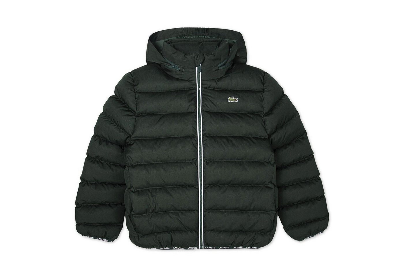 Lacoste Steppjacke Lacoste Kids Steppjacke dunkelgrün mit Kapuze wasserabweisend & warm von Lacoste