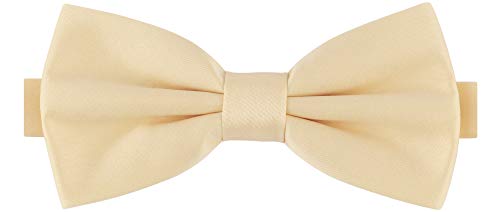 Ladeheid Herren Schmale Fliege M (12cm x 6cm), Beige, 12cm x 6cm von Ladeheid