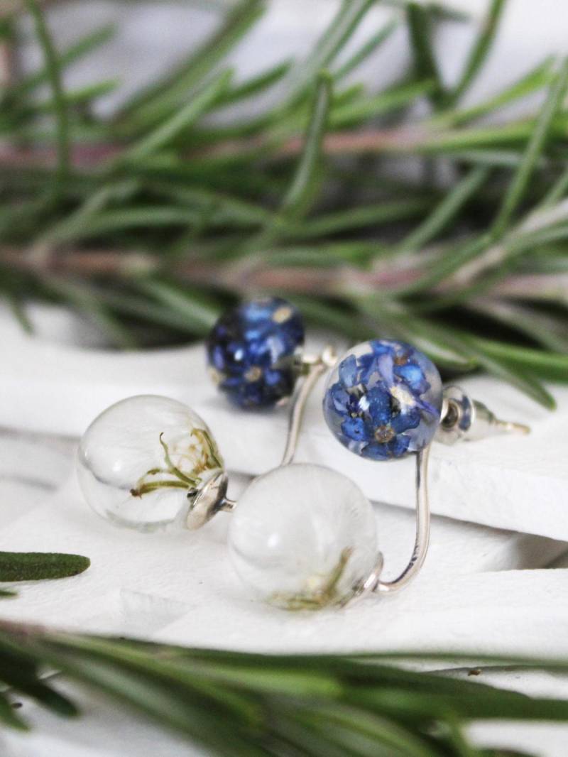 Doppelte Ohrringe Mit Vergissmeinnicht Und Löwenzahn. Sterlingsilber-Terrarium-Ohrringe. Echte Blumenohrringe. Harzschmuck. Gepresste Blume von LadySecret